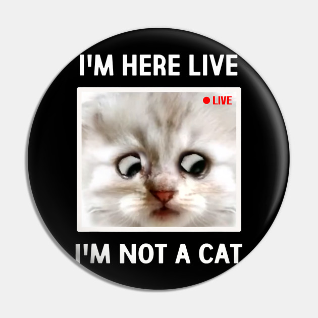 I M Here Live I M Not A Cat Funny Cat Lawyer Meme Im Here Live Im Not A Cat Pin Teepublic