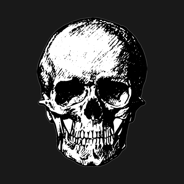 Ancient Skull by MSLS