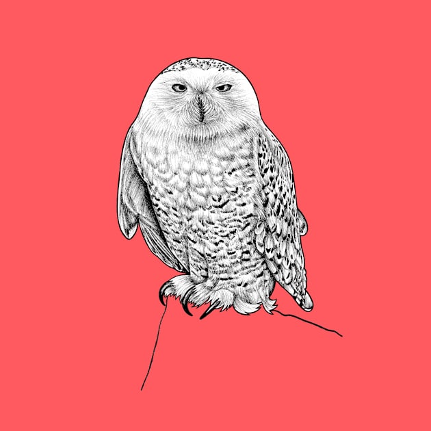 Snowy owl illustration by lorendowding