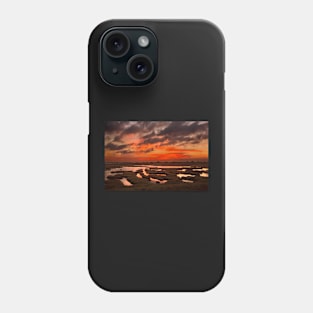 Marshlands of Evros Phone Case