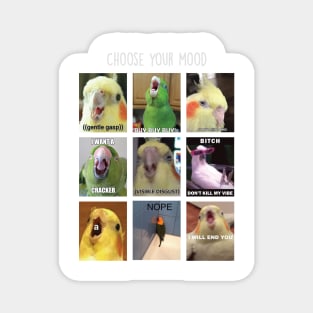 Parrots Meme Mood Magnet