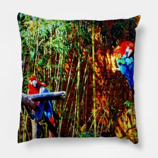 Scarlet Macaws Pillow