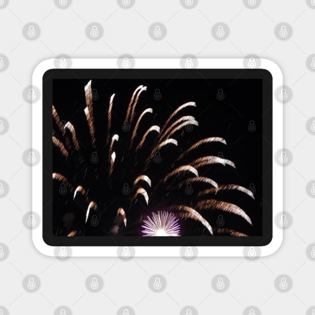 Fireworks 1 Magnet by TrapperWeasel