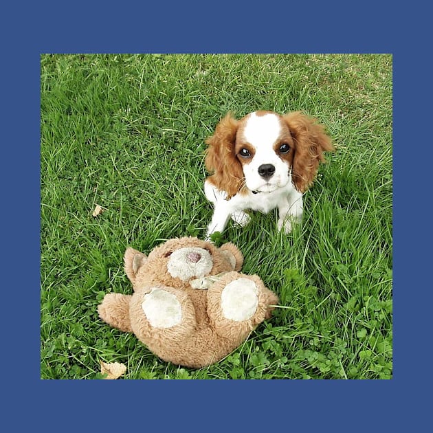 cavalier king charles spaniel blenheim puppy with toy by Wanderingangel