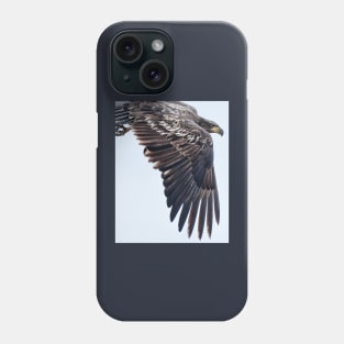 The Wing of a Juvenile Bald Eagle Phone Case