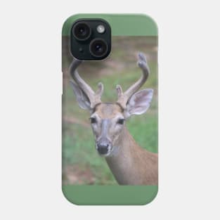 Antler Boy - white tailed deer Phone Case