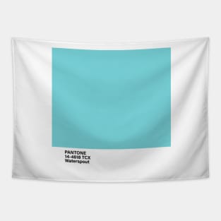 PANTONE 14-4618 TCX Waterspout Tapestry