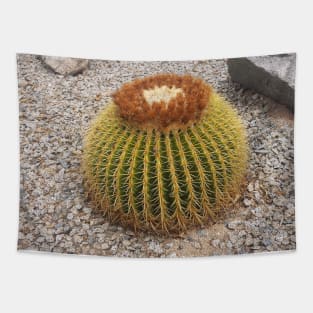 Barrel Cactus Tapestry