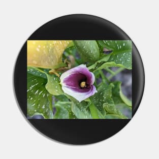 Calla Lily in Leaves Pin