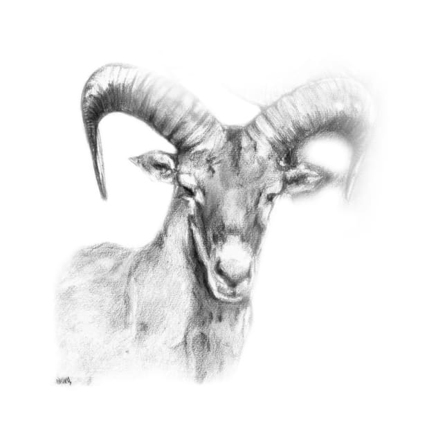 Goat Head by Producer