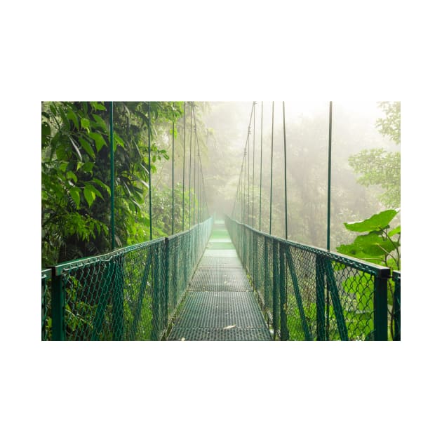 Suspension bridge in rainforest by Juhku