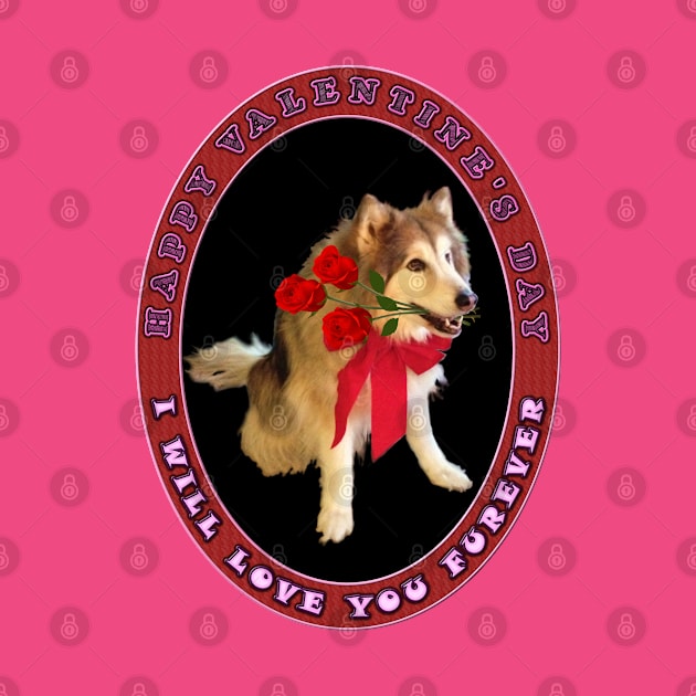 Happy Valentines Day - I Will Love You Forever or Furever - Pink Purple Roses With Wolf Dog by CDC Gold Designs