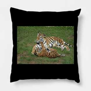 Tiger Mom and Cub Pillow