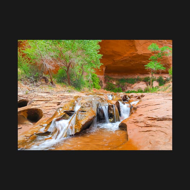 Coyote Gulch by algill