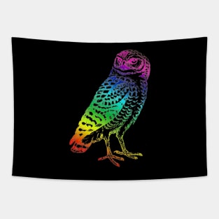 Owl Rainbow Tapestry