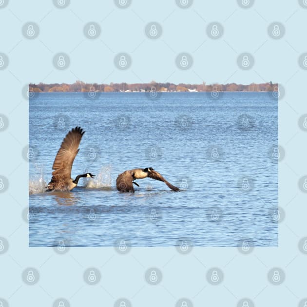 Canada Geese Pair No.1 by MaryLinH