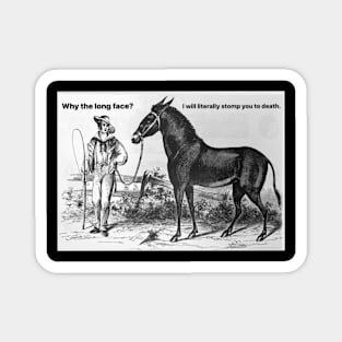 A Talking Horse Magnet