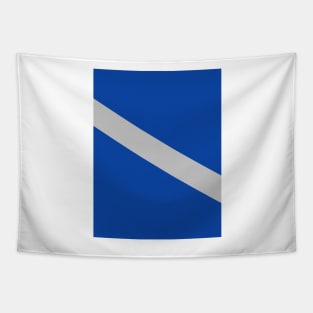 Las Vegas City Flag Blue Silver Sash Tapestry