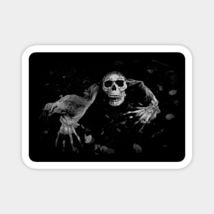 Come With Me - Creepy Skull Magnet