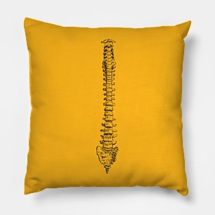 Spine anatomy Pillow