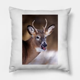 White-tailed Deer Pillow