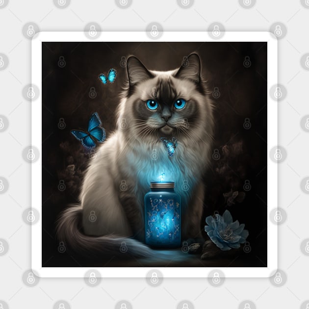 Mystic ragdolls best sale