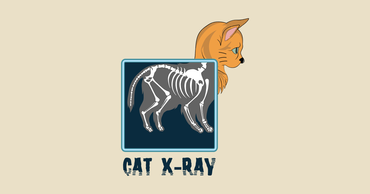 Cat XRay Cat X Ray TeePublic