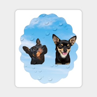 two dogs Magnet