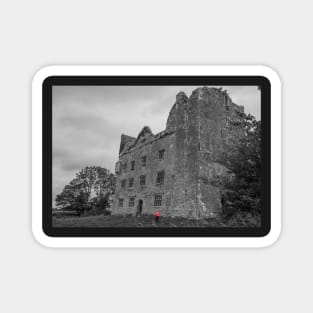 Lemaneagh Castle, The Burren, Ireland Magnet