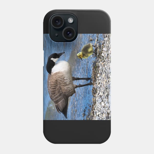 Canada Goose and Its Gosling Along The Shore Phone Case by BackyardBirder