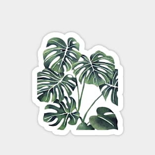 Monstera Leaves 9 Magnet