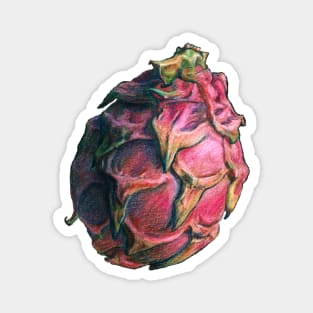 Pitaya the Dragon fruit - hand drawn Magnet