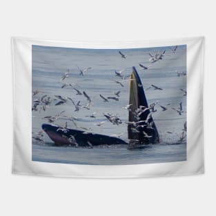 WHALE NATION Tapestry