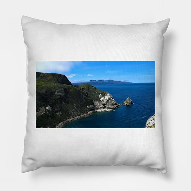 Channel Islands National Park Santa Cruz Island Pillow by supernova23