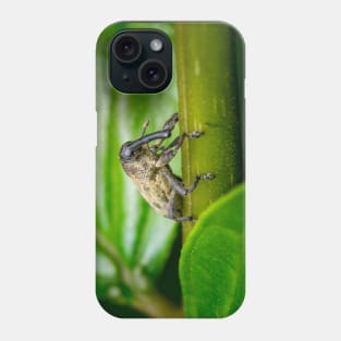 A true weevil, also known as snout beetle (Curculionidae) Phone Case