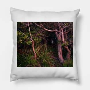 Dark Tunnel Pillow