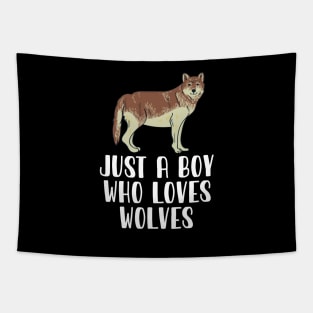 Just A Boy Who Loves Wolves Tapestry