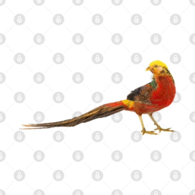 Golden Pheasant Digital Painting by gktb