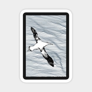 Wandering Albatross Magnet