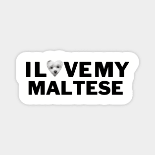 I love My Maltese Magnet