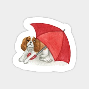 Cavalier King Charles Spaniel - Red Umbrella Blenheim Magnet