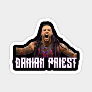 DAMIAN PRIEST CELEBRATION Magnet