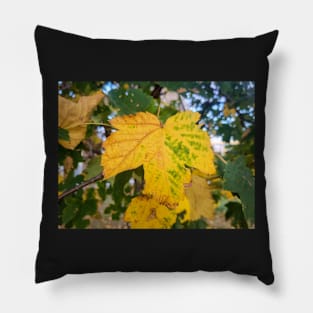 Autumn Yellow Leaf Pillow