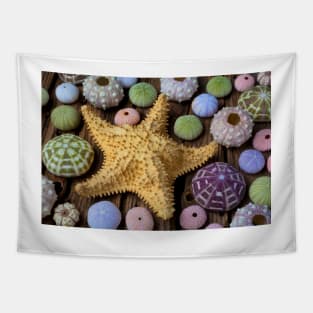 Giant Star And Sea Urchins Tapestry