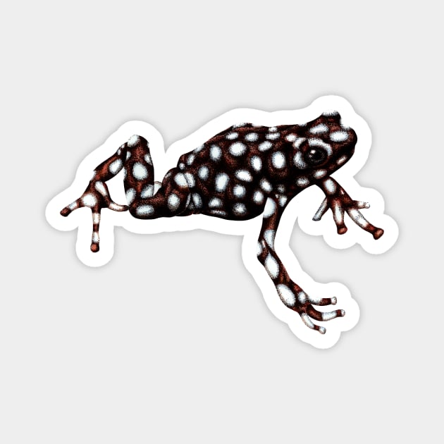 Maranon poison frog Magnet by lorendowding