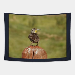 Western Meadowlark Tapestry