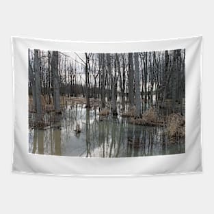 Woodland Stillness Tapestry