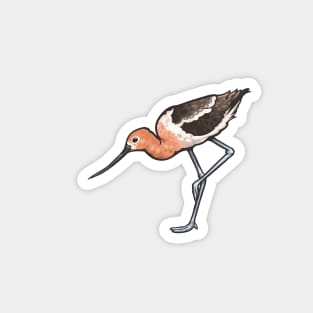 American Avocet Magnet