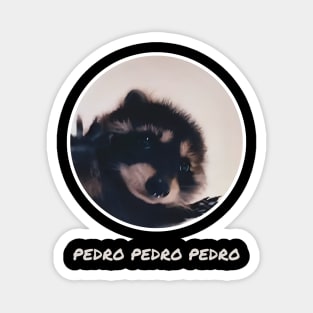 Pedro Raccoon Magnet