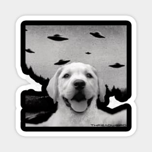 Funny UFO Selfie Labrador Retriever Magnet